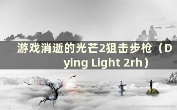 游戏消逝的光芒2狙击步枪（Dying Light 2rh）